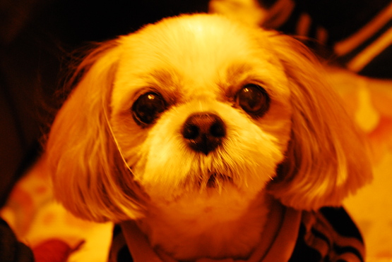 f0238332_12284778.jpg