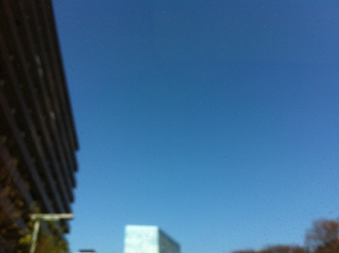 d0013834_2025069.jpg