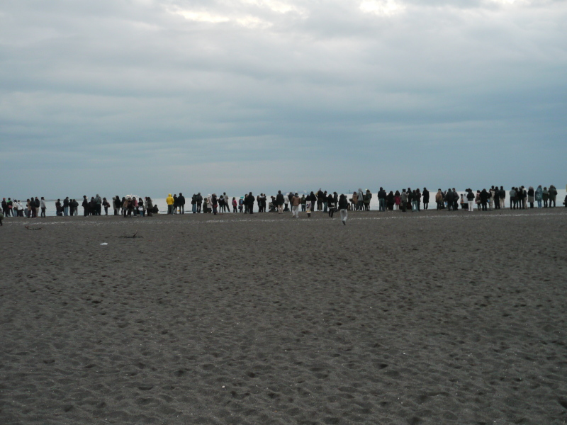 b0190242_14175450.jpg