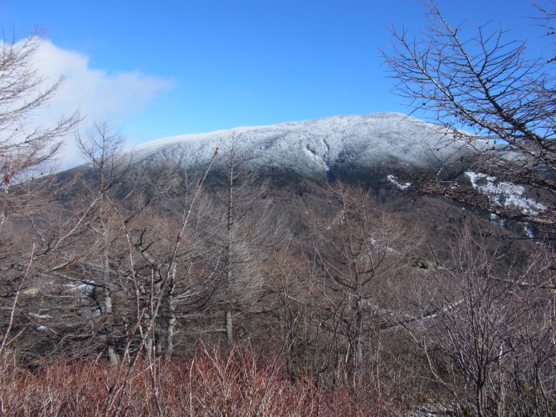 b0190242_14231199.jpg