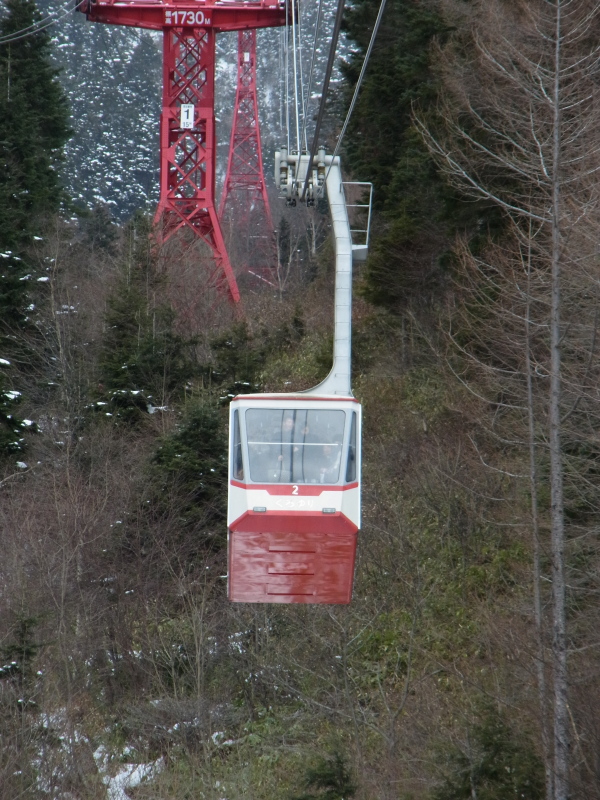 b0190242_1427890.jpg