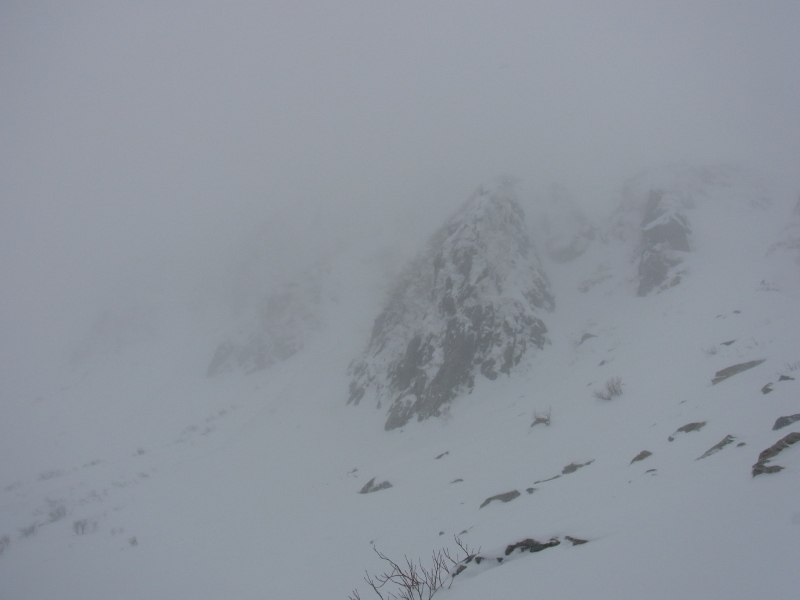 b0190242_14422253.jpg