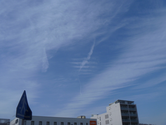 e0121548_2015278.jpg