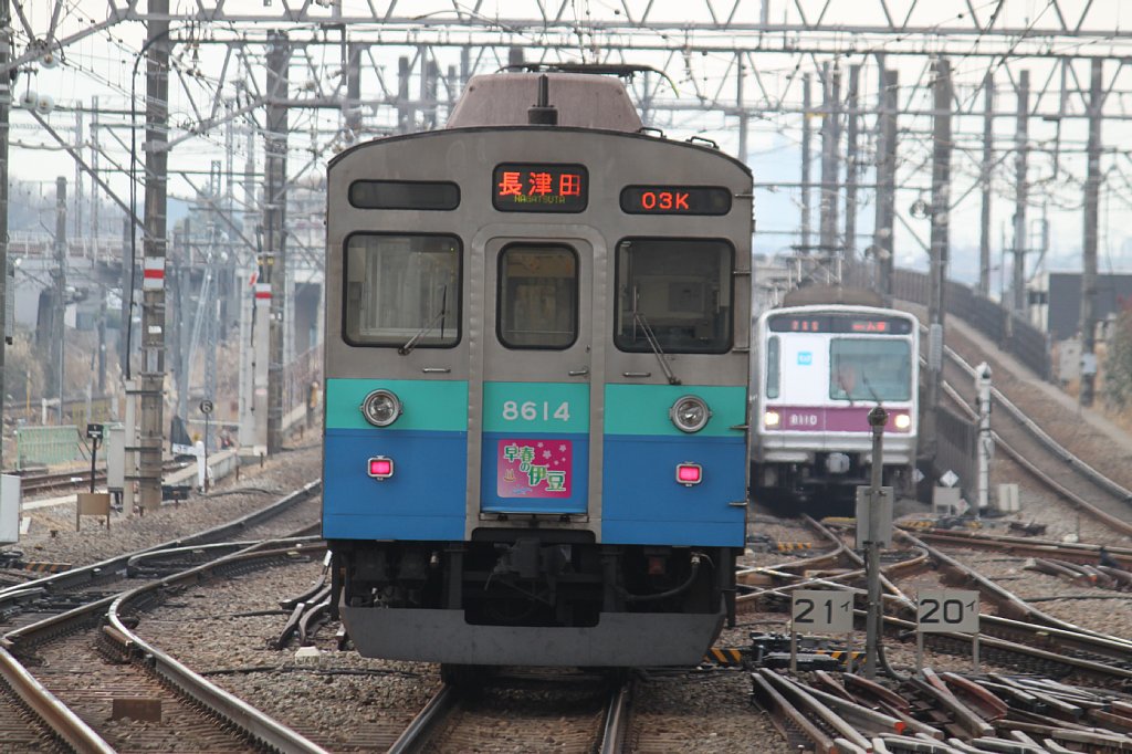 c0153149_117144.jpg
