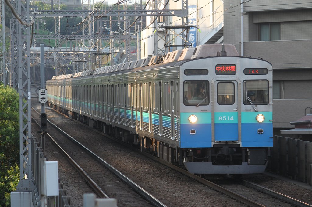 c0153149_15374135.jpg