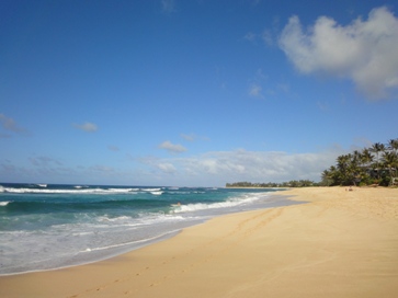 c0102268_21451447.jpg