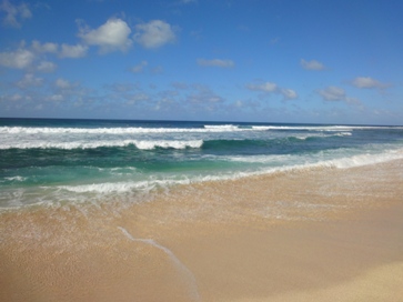 c0102268_214712.jpg