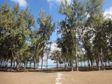 c0102268_22133284.jpg
