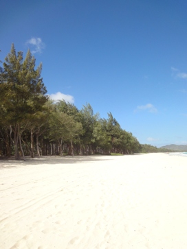 c0102268_22143917.jpg