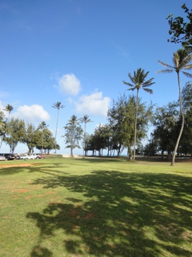 c0102268_2233688.jpg