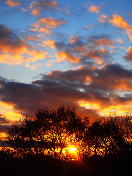 c0122670_10434839.jpg