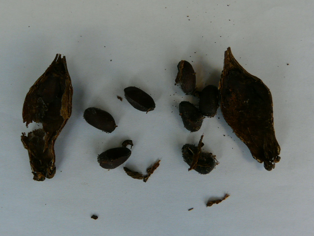 e0145782_9104680.jpg