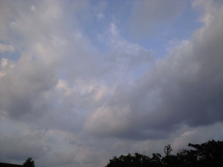 d0240983_2091282.jpg