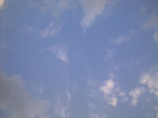 d0240983_2093991.jpg