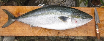 f0003283_2019919.jpg