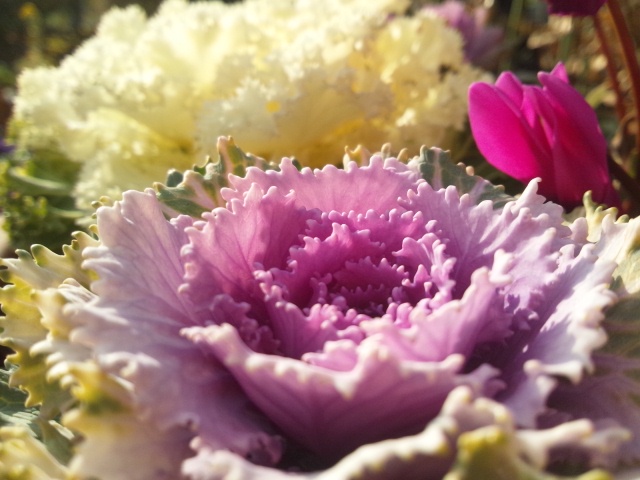 c0139090_2112766.jpg