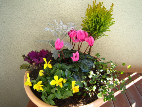 f0204295_1422577.jpg