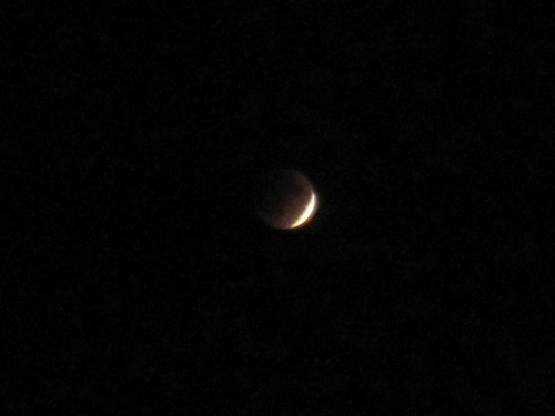 a0075800_14184055.jpg