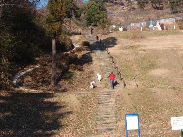 e0018604_15153567.jpg