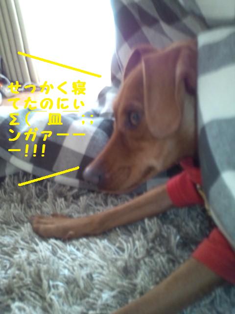 e0246708_16532627.jpg