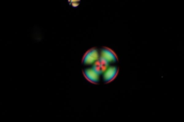 c0164709_17553653.jpg