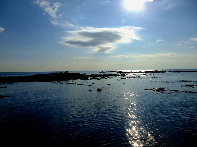 d0175710_2336225.jpg