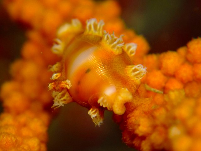 d0175710_23365272.jpg