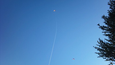b0171411_1213199.jpg