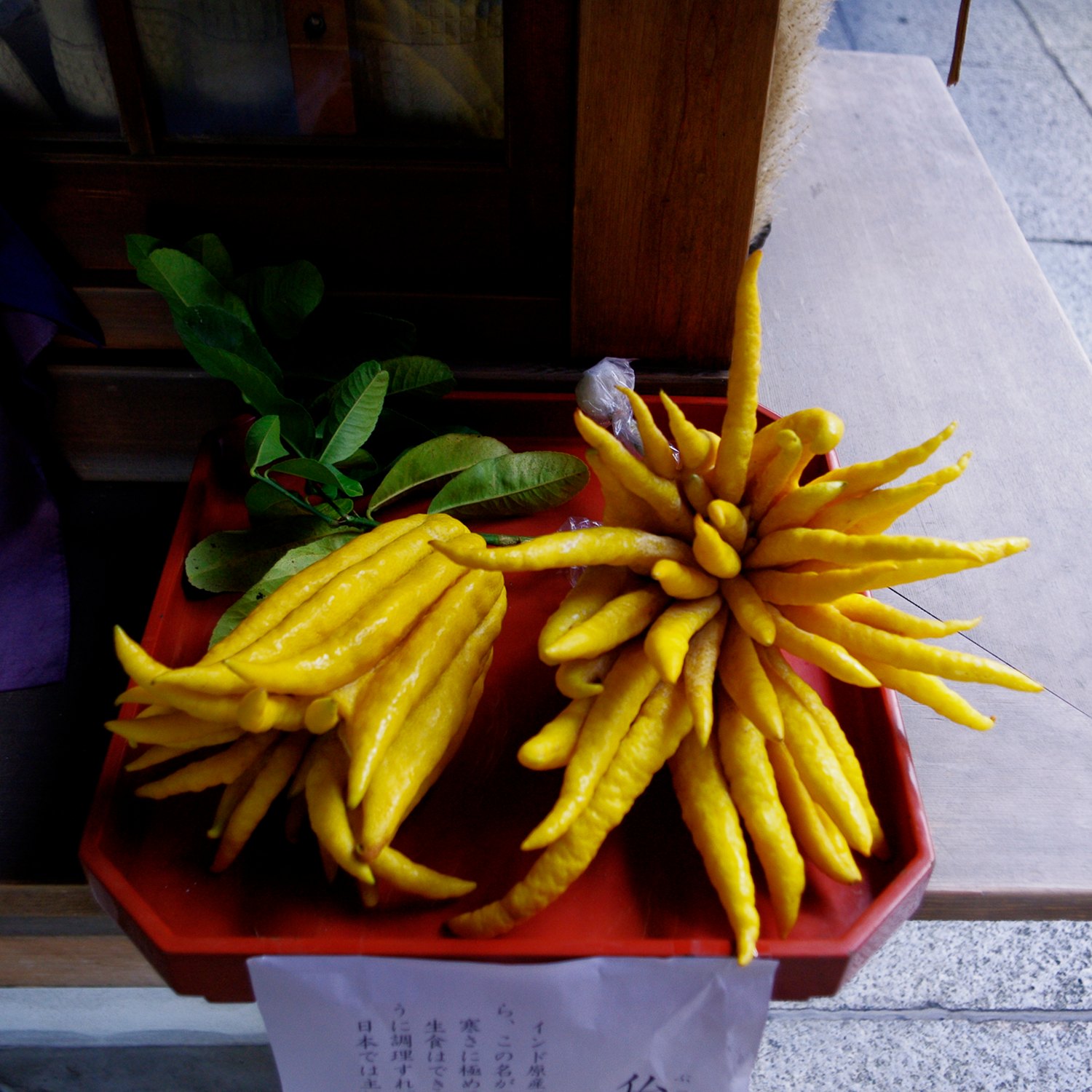 e0142611_1612519.jpg