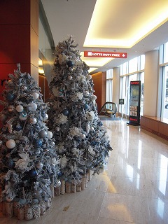 f0199511_1646750.jpg