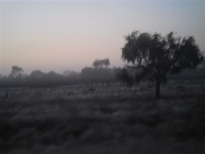 b0191418_20583499.jpg