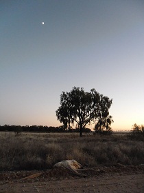 b0191418_2191754.jpg
