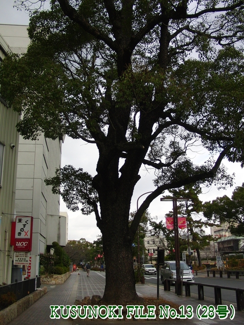 e0179321_21384388.jpg
