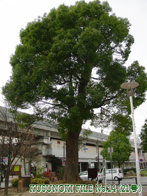 e0179321_2139143.jpg