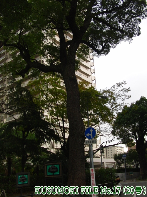 e0179321_21394836.jpg