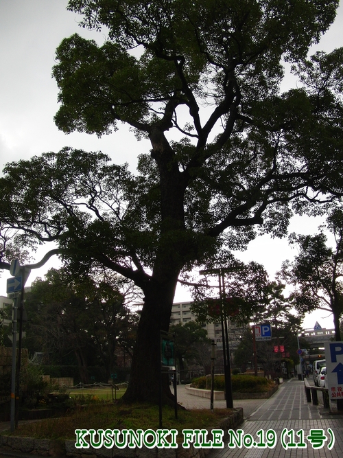 e0179321_2140254.jpg