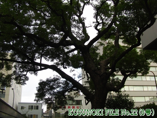 e0179321_21413420.jpg