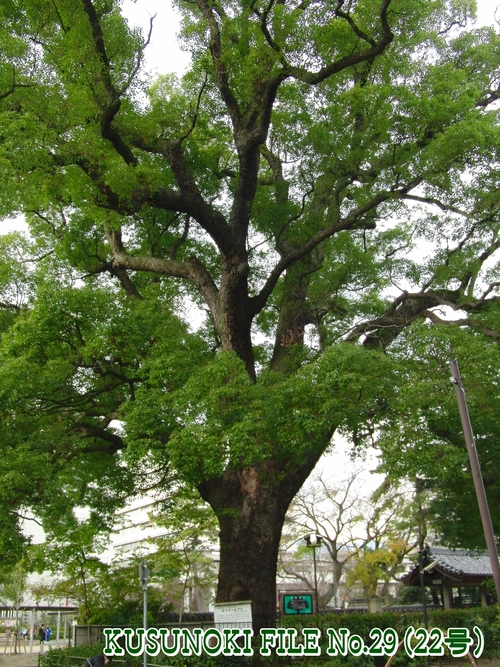 e0179321_21441674.jpg