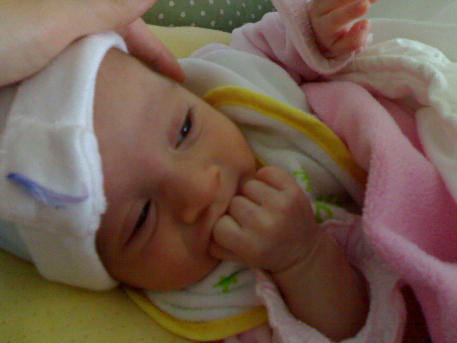 e0203331_23254952.jpg