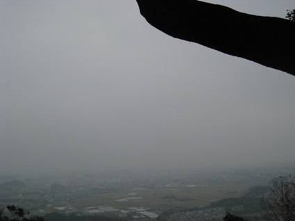 c0077338_8515583.jpg