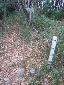 c0077338_8521497.jpg