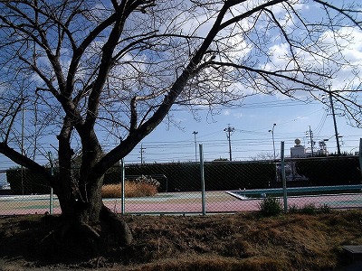 a0137643_1382971.jpg