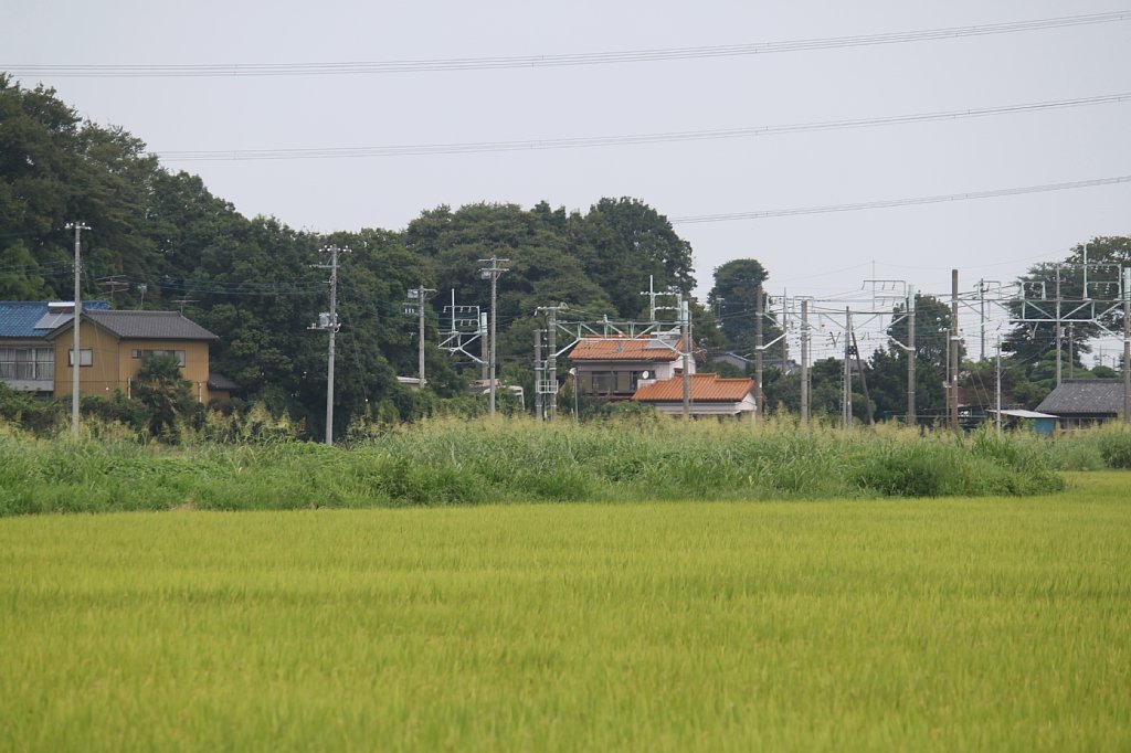 c0153149_314317.jpg