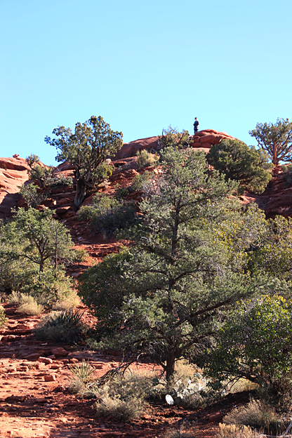 f0006855_15473895.jpg