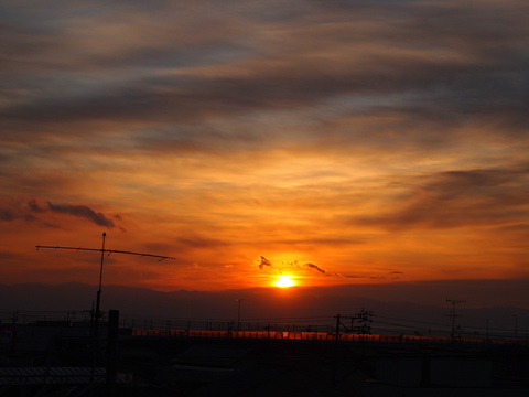 c0144868_0395261.jpg