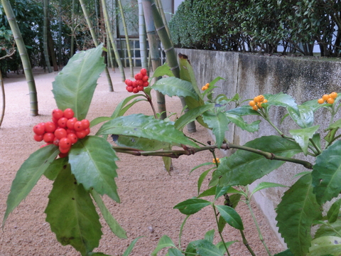 b0244372_21363260.jpg