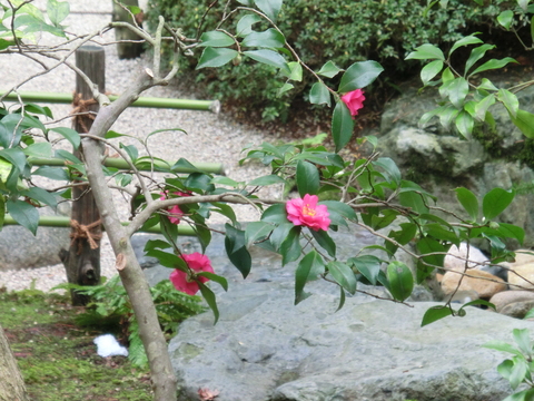 b0244372_21493010.jpg