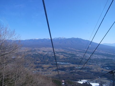 a0195486_2101410.jpg