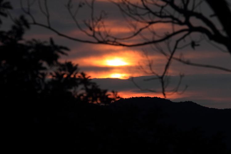e0051888_20165036.jpg