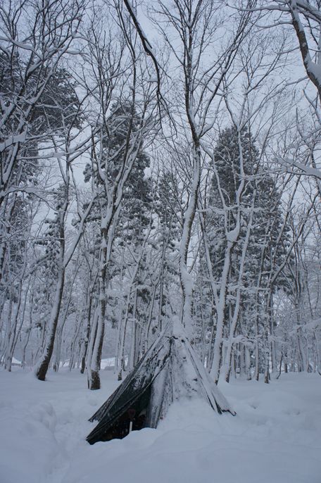 d0165689_1235690.jpg